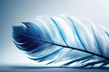 white feather on blue background