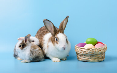 Mother rabbit with two young bunny sitting next to a colorful basket of easter eggs on blue background.