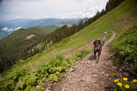 A woman carrying an infant hiking in the mountains. hiking in the mountains with a German Shorthair Pointer dog.