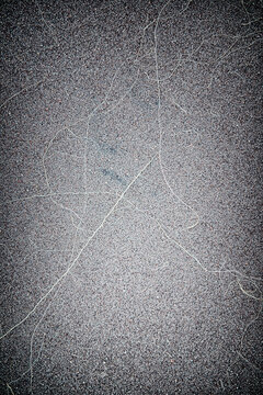 Wisps Of Plant-life Against White Sands