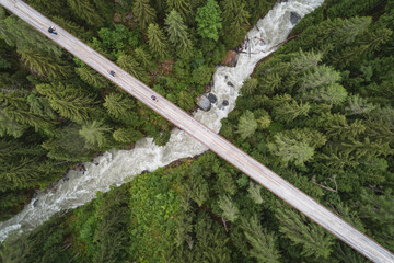 Aerial view of river passing through forest, Ernen, Valais, Switzerland