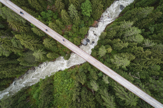 Aerial view of river passing through forest, Ernen, Valais, Switzerland