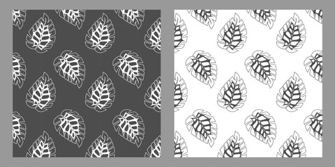 Black and white set pattern of monstera tropical leaves. Hand drawn doodle. Vector illustration