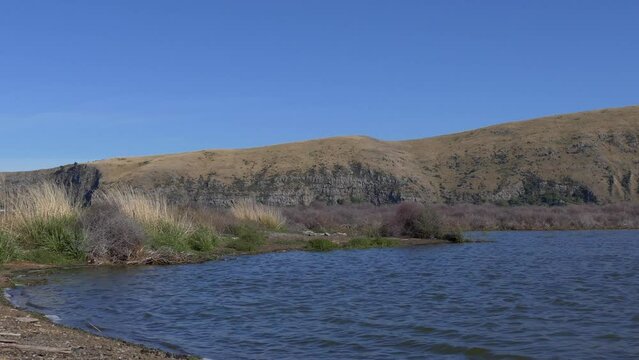 Lake water flows steadily into shore on a beautiful, sunny summer's day - Lake Forsyth (New Zealand)