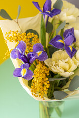 Spring bouquet of flowers. Irises, tulips, mimosa and eucalyptus. Yellow and blue flower. Bud close-up. Floral background. Purple iris, white double tulip. Gift. March mood.