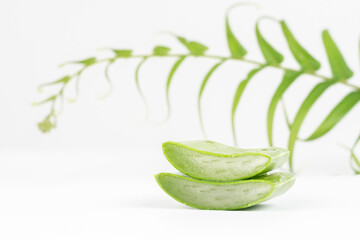 Fresh aloe vera leaves and slices isolate against white background for health and beauty products.