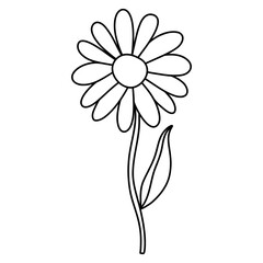 ox-eye daisy flower, chamomile flower, Spring Element