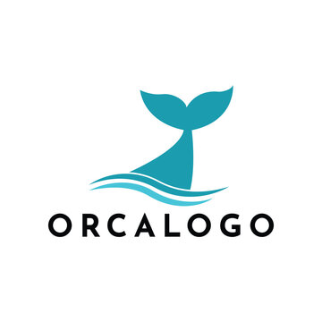 Orca Logo Vector Illustration On Trendy Design