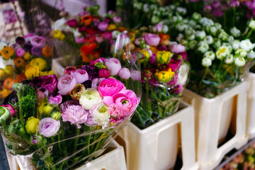 Peonies in boxes at the flower market
