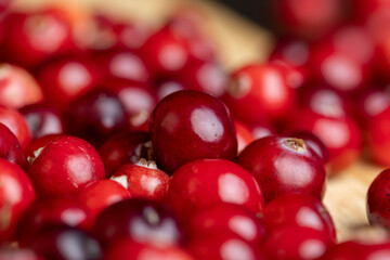 Red ripe cranberries harvested in swamps