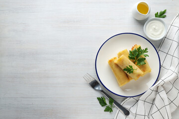 Concept of tasty food, thin pancakes with filling, space for text