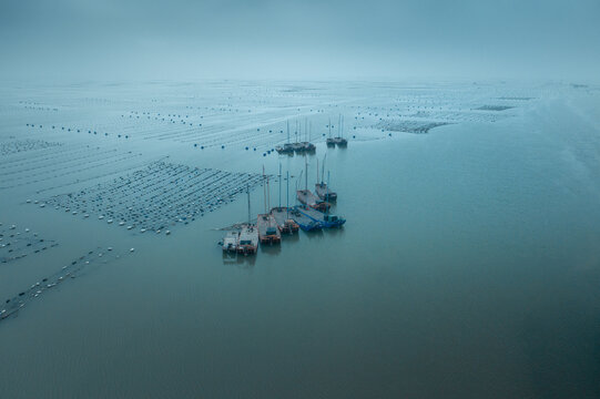 From Above: Aerial View of a Sustainable Fish Farm in Rural China