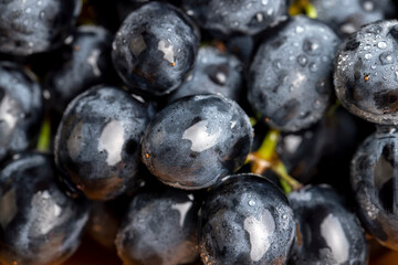 Wet black and blue grapes on the table