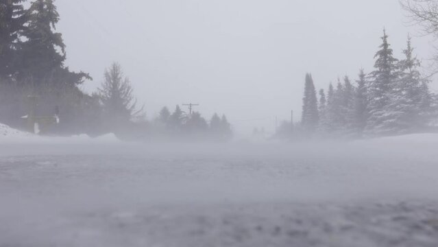 Snow dances on the concrete road during a snow storm blizzard