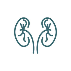 urology icon. Thin line urology icon from health and medical collection. Outline vector isolated on white background. Editable urology symbol can be used web and mobile