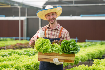 Businessperson or farmer checking hydroponic soilless vegetable in nursery farm. Business and organic hydroponic vegetable concept