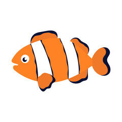 vector illustration of clownfish isolated on white