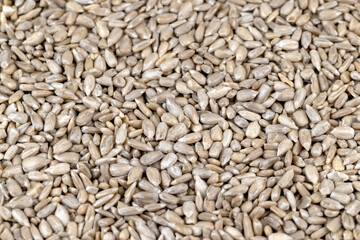 Sunflower seeds peeled from the black shell