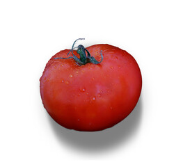 tomato isolated on transparent background