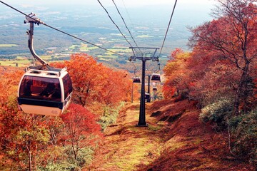 Scenery of Nasu Gondola gliding among beautiful fall colors on the hillside of Mountain Jeans, which is famous for leaf-peeping in autumn and skiing in winter, in Nasu, Tochigi Prefecture, Japan