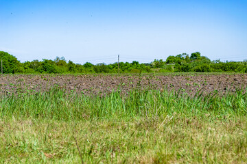 Fototapeta na wymiar Photography on theme big empty farm field for organic harvest