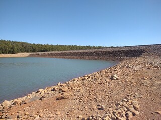 the river in the forest