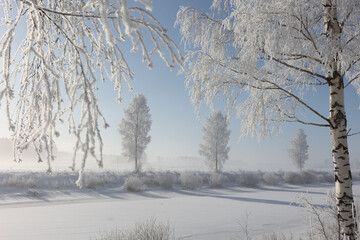 Winter landscape