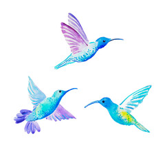 Obraz na płótnie Canvas Hummingbirds, colorful birds, hummingbird illustration, watercolor illustration 