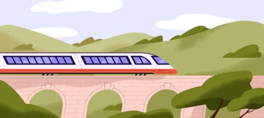 Fotobehang Express passenger train on bridge in nature landscape. Travel, journey, trip by modern rail road transport. Railway, way among trees, forest, countryside, rural scenery. Flat vector illustration © Paper Trident