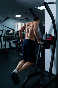 Shirtless man doing triceps dips from parallel bars in gym. 