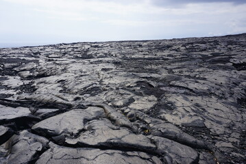 Lava field in Big Island in Hawaii