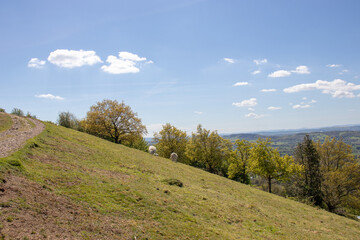 Obraz premium Malvern hills of England in the Summertime.
