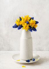 Still life with blue grape muscari, and yellow double daffodil flowers in a vintage ceramic vase. Homemade decoration for Easter or Mothers day. Copy space.