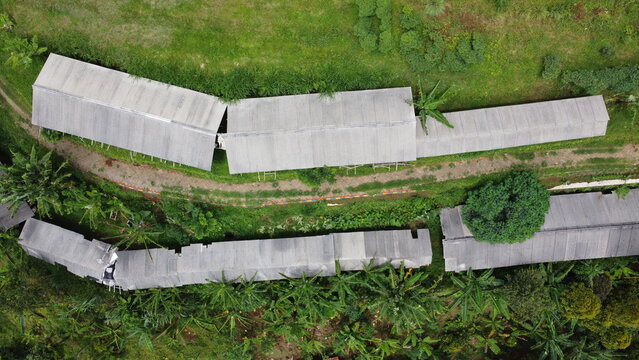 Drone photo of the view of the goat pen from above. Which is surrounded by many trees