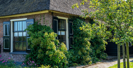 Fototapeta na wymiar Landscape view of typical houses of Giethoorn, Netherlands. Famous village is know as 