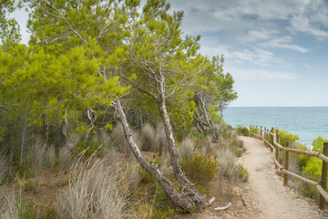 Tarragona Catalonia Spain   summer view of cala Torn nudist beach in a cloudy morning