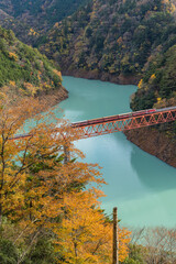 日本　静岡県榛原郡川根本町にある奥大井湖上駅に架かる鉄橋