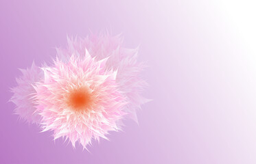 Flower cute background wallpaper floral