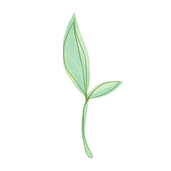 hand painted leaveshand drawn roses