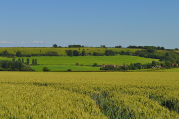 Fototapeta premium Panoramic rural English summer landscape, Somerset, England.