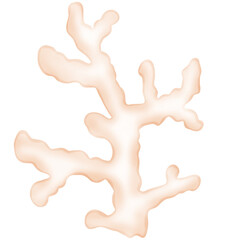 Cute Coral, coral illustration, sea plant, plant