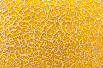 closeup of yellow melon texture