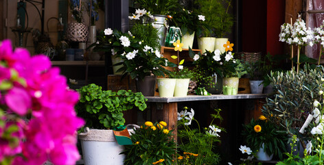Fototapeta premium Small local flower shop in France. Local flower shop with beautiful outside display. Small business. Floral design studio, making decorations. Flowers delivery, creation order
