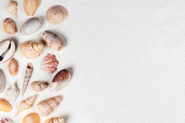 Seashells on sand. Sea summer vacation background with space for the text