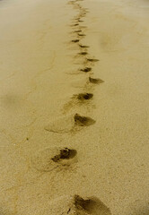footprint on the sand