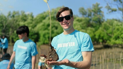 Volunteer helpers planting trees in mangrove forest for environmental protection and ecology,...