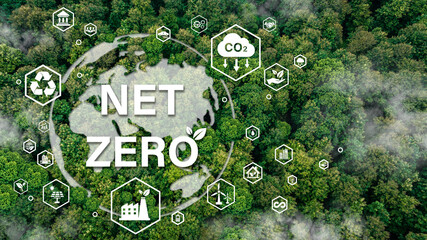 Net zero icons on the top view of the forest for Carbon neutral and net zero concept natural...