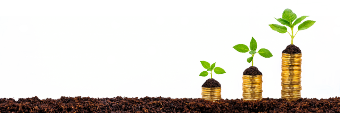 growing plants show success on stacked coins