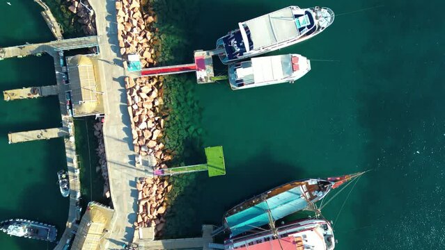 a drone fotage of a tropical marina