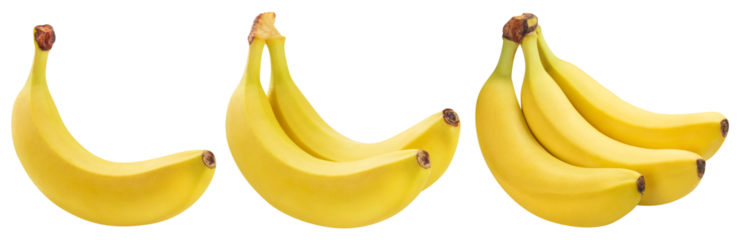 Set of delicious bananas cut out